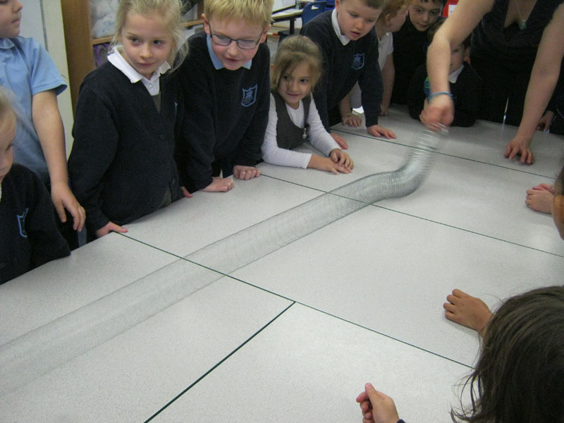 Seadream Education Kingsbridge Community Primary School Science Week